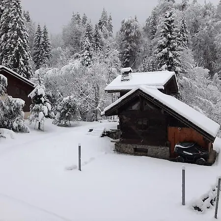 Cosy Au Pied Des Pistes Apartment *